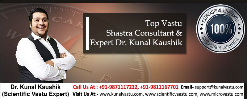 Famous Vastu Consultant In United States